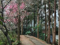 -成都杜甫草堂博物馆