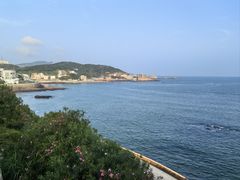 -枸杞岛