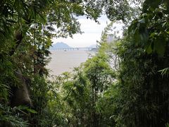 -江心屿景区