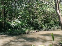 -桤木河湿地公园