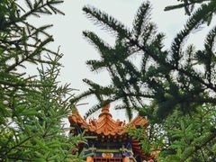 -翠矶山公园