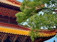 -南岳衡山风景名胜区-南岳大庙