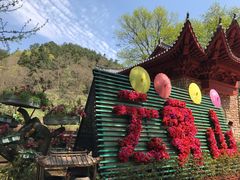 -木兰云雾山
