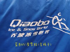 -绍兴启迪乔波冰雪世界