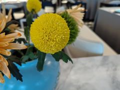 -南堂馆·新川菜(春熙路店)