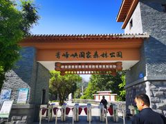 -青峰峡国家森林公园