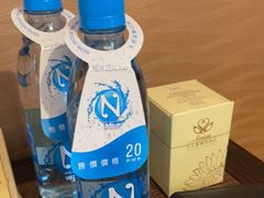 -长沙小天鹅戴斯酒店