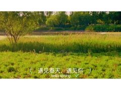 -天津武清北运河郊野公园房车露营地