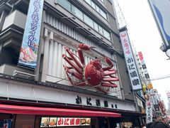 -心斋桥
