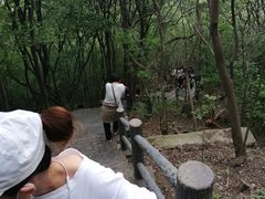 -紫金山山顶公园