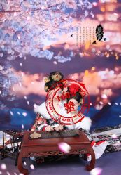 -后宫·古装汉服京剧儿童亲子全家福摄影