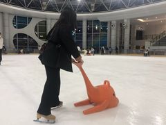 -世界之窗阿尔卑斯冰雪世界