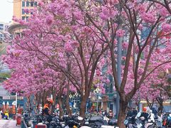 -1点点(清湖地铁店)