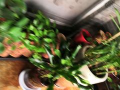 -王明古法砂锅居(开化寺店)