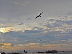 -那香海钻石沙滩浴场