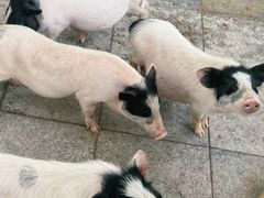 -鄂尔多斯野生动物园