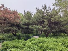 -太阳宫公园