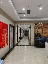 -碧莲盛·不剃发植发