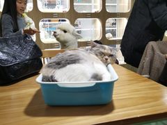 -藦茜花园宠物主题亲子互动体验馆(国顺东路店)