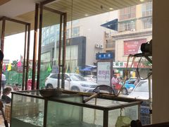 -岩泊渡桂鱼楼活鱼馆