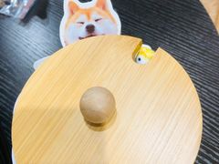 -逗柴咖啡屋·狗咖猫咖宠物桌游