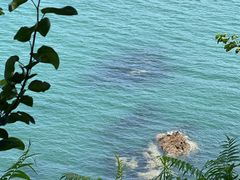 -海源公园