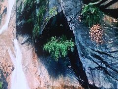 -蔡元培故居