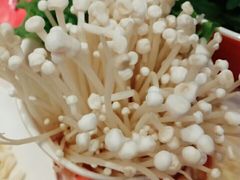 金针菇-刘一锅筋头巴脑(大悦城C店)