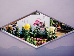 -南山植物园
