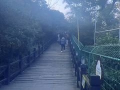 -树山生态村