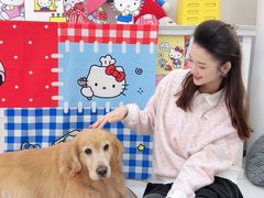 -汪说·狗咖·拼豆·宠物周边DIY(旺城大厦店)