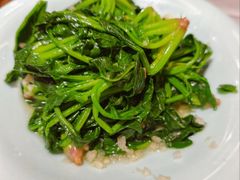 菠菜-贵州大厦贵州厅(樱花园西街店)
