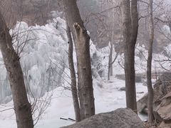 -黑龙潭风景区