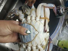-南戴河海滨市场