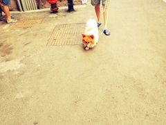 -鼓浪屿钢琴博物馆