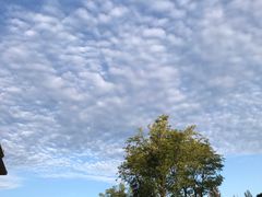 -米二红烧兔(华阳店)