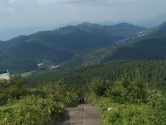 -武陵山森林公园