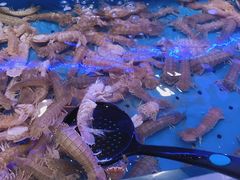皮皮虾-澜悦港海鲜体验主题餐厅