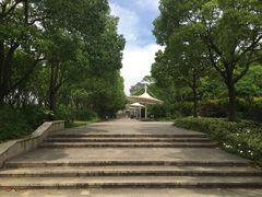 -新江湾城公园