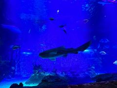 -沈阳海洋探索中心