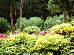 景点-广州珠江公园