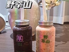 -野萃山·潮汕厚果汁(十亩地店)