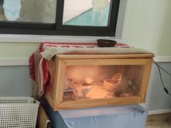 -心元儿童之家(萧山校区)