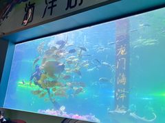 -洛阳龙门海洋馆