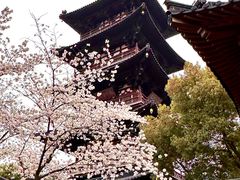-寒山寺