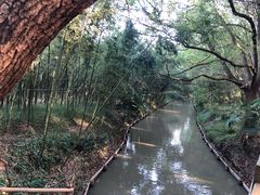 -同里国家湿地公园