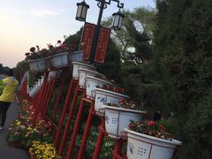 -北陵公园