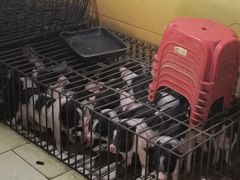 -黄记四更烤乳猪店
