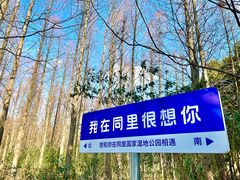 -同里国家湿地公园