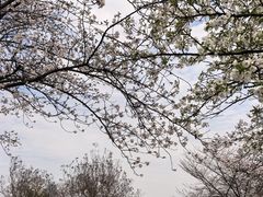 -蠡湖大桥公园